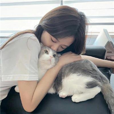 钢铁少女团2