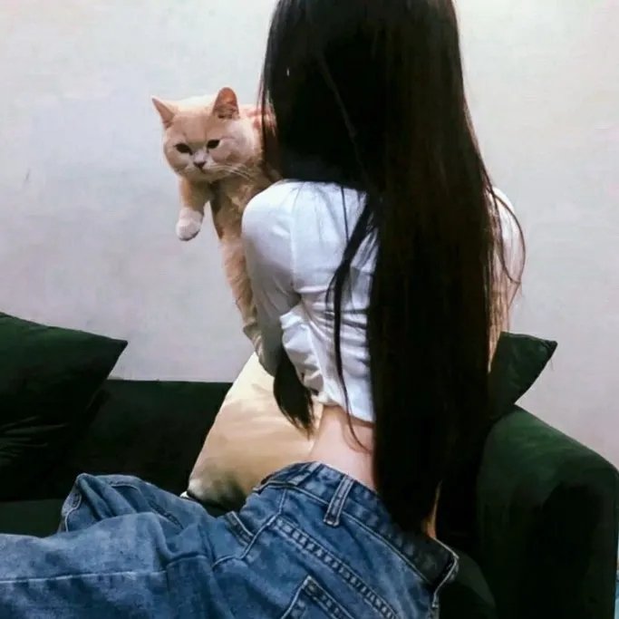 小狗当家